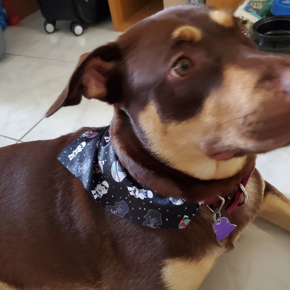 Meet your Posher, Mari - Picture 2 of 2